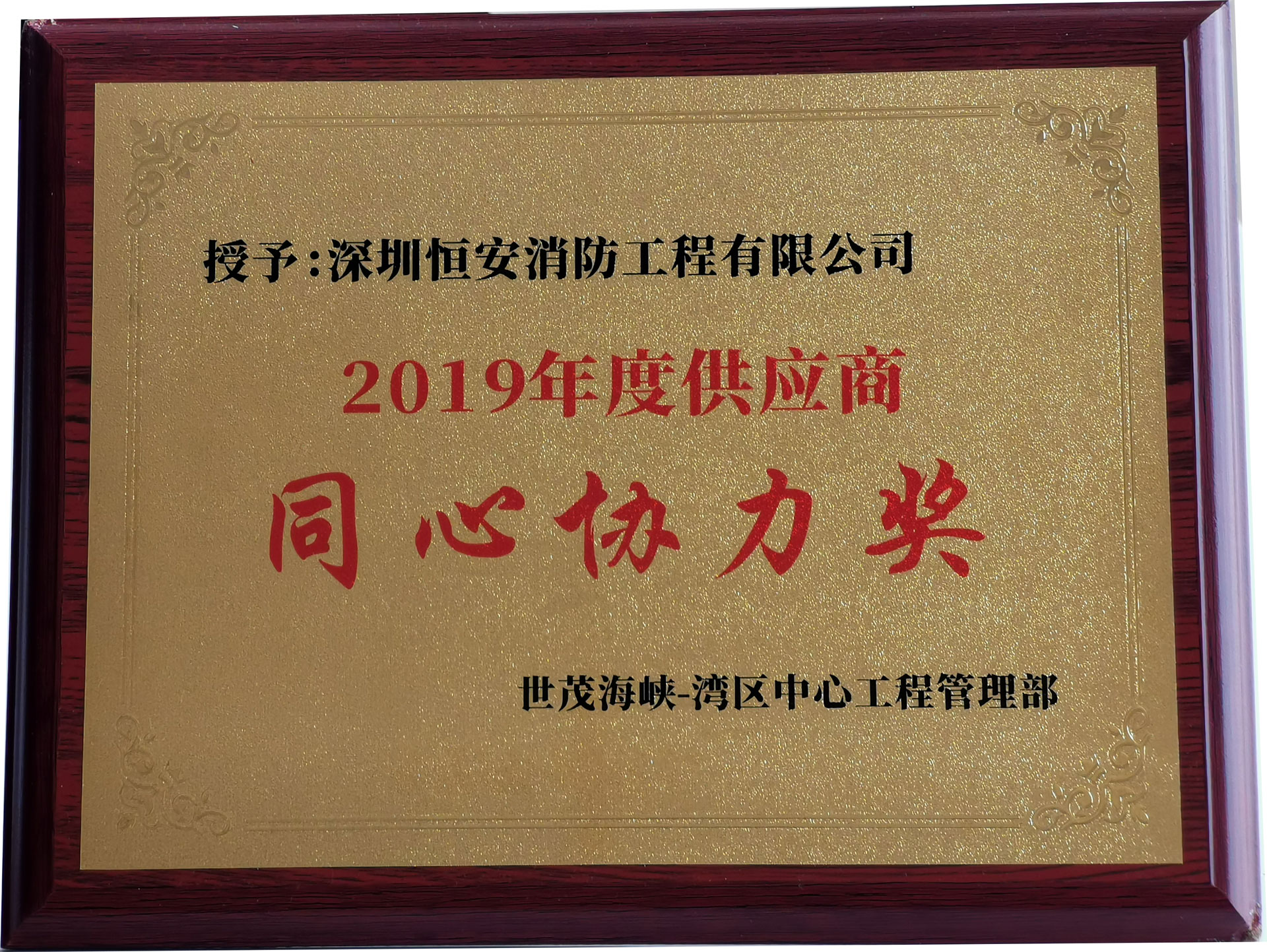 2019年坪山世茂项目同心协力奖